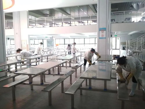 守護舌尖上的安全 乘航小學食堂管理提優行動與室內環境檢測治理